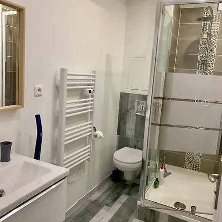 Le Passage De Hugues - 3 - Hyper Centre * Troyes